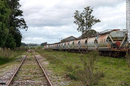 Former Mansavillagra train station. Line of grain freight cars - Department of Florida - URUGUAY. Photo #75557