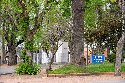 Plaza Etanislao Pison - Departamento de Florida - URUGUAY. Foto No. 76039