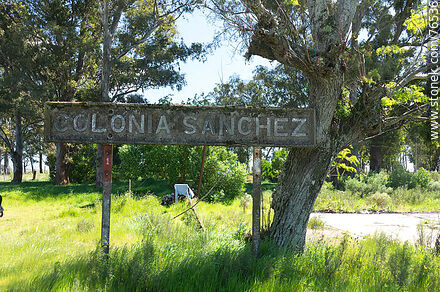 Old train station Colonia Sanchez. Station sign - Department of Florida - URUGUAY. Photo #76536