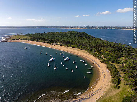 Aerial view of the bay to the west with its beach and boats. - Punta del Este and its near resorts - URUGUAY. Photo #77027
