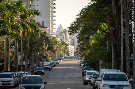 Calle El Foque - Punta del Este y balnearios cercanos - URUGUAY. Foto No. 77264