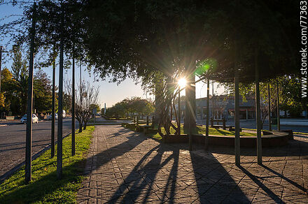 Puesta de sol en el bulevar Cardona - Florencio Sánchez - Departamento de Soriano - URUGUAY. Foto No. 77363