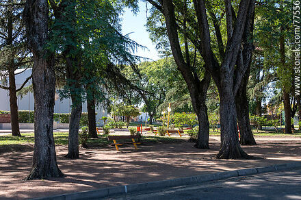 Main square - San José - URUGUAY. Photo #77556