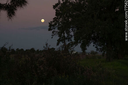 Full moon from Picada Benítez - Department of Colonia - URUGUAY. Photo #77562
