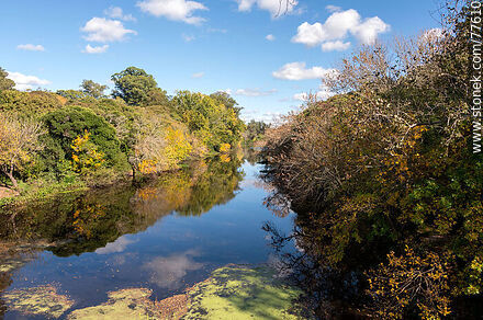 Pando creek from the bridge of old Route 8 (Dr. Luis Alberto de Herrera) - Department of Canelones - URUGUAY. Photo #77610