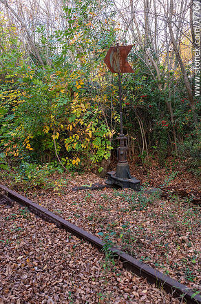 Railroad tracks lost in the autumn leaves. Old railroad sign lost in the foliage - Department of Canelones - URUGUAY. Photo #77764