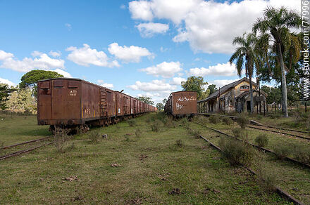 Antigua estación de ferrocarril Julio M. Sanz. Filas de vagones de carga en vías secundarias - Departamento de Treinta y Tres - URUGUAY. Foto No. 77996