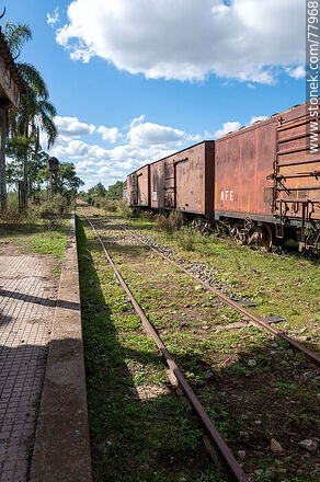 Former Julio M. Sanz railroad station. Platform and row of freight cars - Department of Treinta y Tres - URUGUAY. Photo #77968