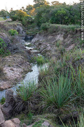 Ditch draining into the Tacuarí river - Department of Cerro Largo - URUGUAY. Photo #78114