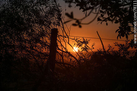 Rocha fields at sunset - Department of Rocha - URUGUAY. Photo #78111
