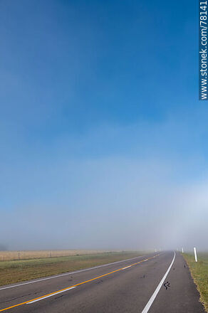 Morning mist on Route 8 -  - URUGUAY. Photo #78141