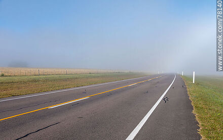 Morning mist on Route 8 -  - URUGUAY. Photo #78140