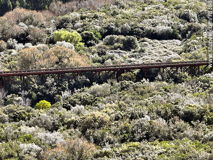 Aerial view of the railroad bridge over the José Ignacio stream among the trees of the native forest. - Punta del Este and its near resorts - URUGUAY. Photo #78388