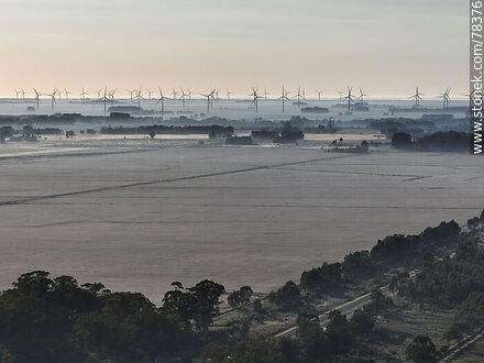 Morning aerial view of the mist over the Brazilian far countryside and a large windmill farm. - Department of Rocha - URUGUAY. Photo #78376