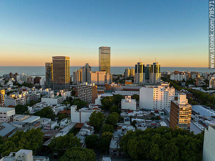 Vista aérea de las torres y edificios al atardecer - Departamento de Montevideo - URUGUAY. Foto No. 78571