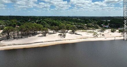 Aerial photo of the sandy shore with pine trees of the Solis Chico creek - Department of Canelones - URUGUAY. Photo #78810