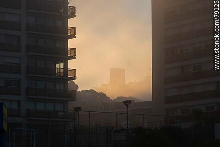 Bruma entre los edificios de la rambla al atardecer - Department of Montevideo - URUGUAY. Photo #79125