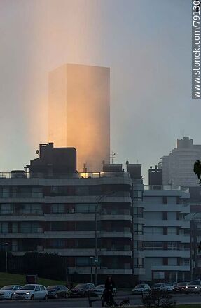 A torre 4 del World Trade Center Montevideo extrañamente iluminada con una masa de bruma vertical - Department of Montevideo - URUGUAY. Photo #79130