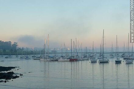 Veleros del puerto en la calma del atardecer - Departamento de Montevideo - URUGUAY. Foto No. 79099
