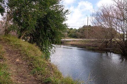 Pan de Azúcar Stream - Department of Maldonado - URUGUAY. Photo #79243