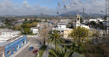 Vista aérea de palomas volando frente al drone sobre la plaza 19 de Abril - Department of Maldonado - URUGUAY. Photo #79381