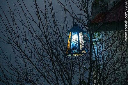 Lamp among the branches of winter -  - MORE IMAGES. Photo #79397