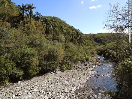 Yerbal Chico Creek - Department of Treinta y Tres - URUGUAY. Photo #79603