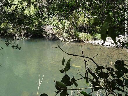 Yerbal Chico Creek - Department of Treinta y Tres - URUGUAY. Photo #79606