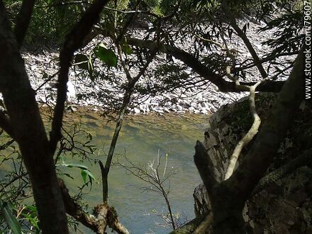 Yerbal Chico Creek - Department of Treinta y Tres - URUGUAY. Photo #79607