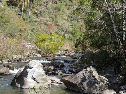 Yerbal Chico Creek - Department of Treinta y Tres - URUGUAY. Photo #79619