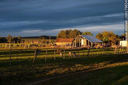Sunset in the field - Department of Treinta y Tres - URUGUAY. Photo #79654