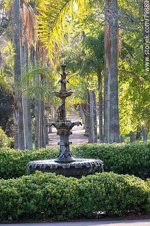 Fountain among the palm trees. Botanical Garden - Department of Montevideo - URUGUAY. Photo #79889