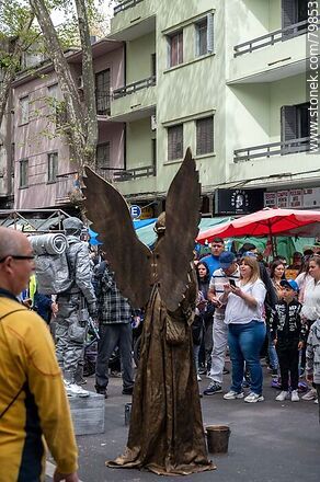 Copper mime - Department of Montevideo - URUGUAY. Photo #79853
