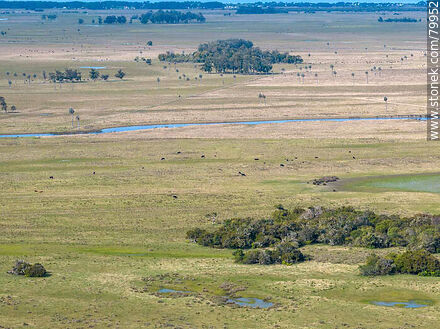 Aerial view of the Rocha plains, watering holes and palm trees - Department of Rocha - URUGUAY. Photo #79952