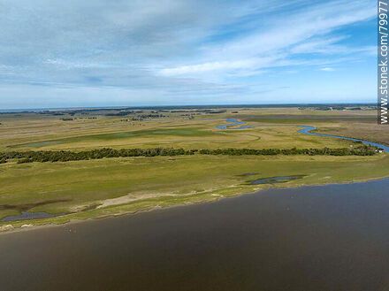 Aerial view of the Montegrande ombúes bush from the Castillos lagoon - Department of Rocha - URUGUAY. Photo #79977