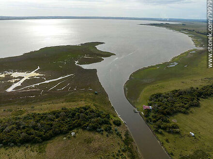 Aerial view of the ombú groves on both banks of the source of Valizas creek in Castillos lagoon - Department of Rocha - URUGUAY. Photo #79979