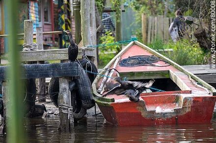 Fisherman's boat - Department of Rocha - URUGUAY. Photo #80008