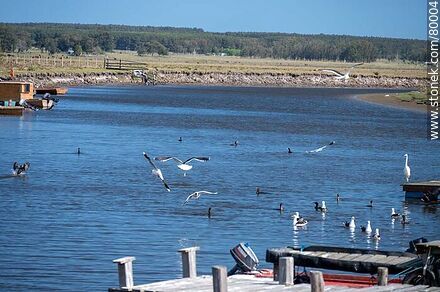 Fishing village on the banks of route 10 on Valizas stream - Department of Rocha - URUGUAY. Photo #80004
