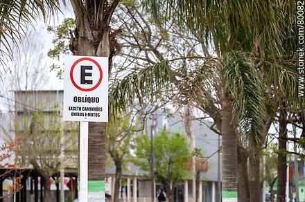 Estacionamiento oblícuo exceptuando camiones, ómnibus y motos - Department of Rocha - URUGUAY. Photo #80082
