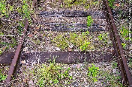 Railway tracks with many years of disuse at Chapicuy train station - Department of Paysandú - URUGUAY. Photo #80355
