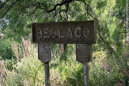 Old Bellaco train station. Station sign among the trees - Rio Negro - URUGUAY. Photo #80465