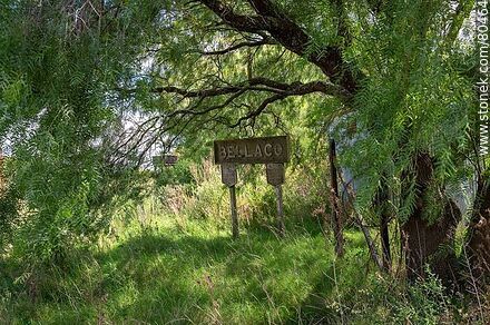 Old Bellaco train station. Station sign among the trees - Rio Negro - URUGUAY. Photo #80464