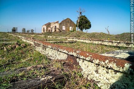 Antigua estación Totoral, sus restos. Líquenes en las vías - Departamento de Paysandú - URUGUAY. Foto No. 80790