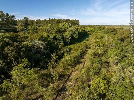 Vista aérea de un canal entre los arbustos donde se esconden las vías de lo que una vez fue la estación Rivas - Departamento de Paysandú - URUGUAY. Foto No. 81101