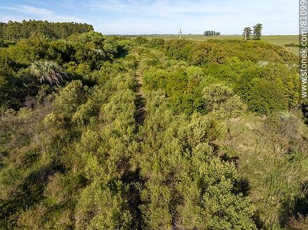 Vista aérea de un canal entre los arbustos donde se esconden las vías de lo que una vez fue la estación Rivas - Departamento de Paysandú - URUGUAY. Foto No. 81099