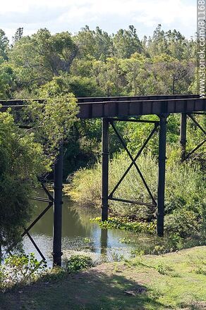 Puente ferroviario sobre el arroyo Tres Cruces - Departamento de Artigas - URUGUAY. Foto No. 81168
