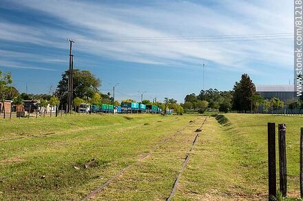 Railway tracks hidden in the pasture - Department of Paysandú - URUGUAY. Photo #81218