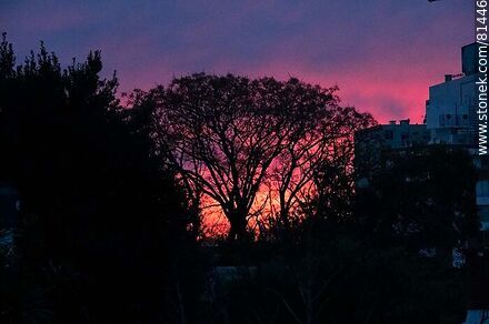 Reddish sunrise - Department of Montevideo - URUGUAY. Photo #81446