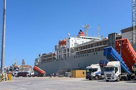 Loading of a vessel at dock C of the port - Department of Montevideo - URUGUAY. Photo #81759