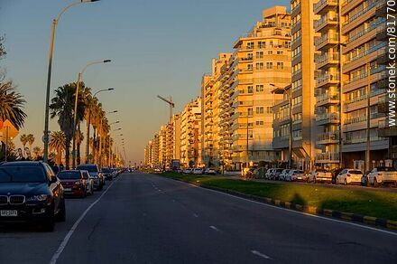 Rambla de Punta Carretas at dawn - Department of Montevideo - URUGUAY. Photo #81770